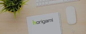 Horigami Aesis Conseil